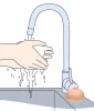 Titty Soap Szappan (flesh)