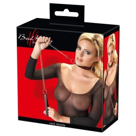 Zła obroża i smycz dla kota