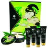 SHUNGA - secret geisha organic green tea set