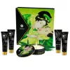 SHUNGA - secret geisha organic green tea set