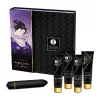 SHUNGA - sensual geisha set for premium pleasures