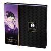 SHUNGA - sensual geisha set for premium pleasures