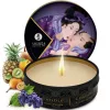 SHUNGA – massage oil with exotic fruit aroma