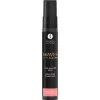 SHUNGA - Seductive Hippo Flavoured Pleasure Spray 20 ml